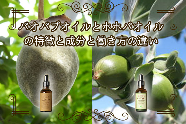 バオバブオイルとホホバオイルの特徴と成分と働き方の違いや使用方法